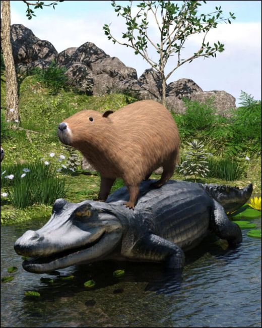 Click here to see preview images for "Capybara" Capybara