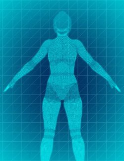 Wireframe Shader Presets