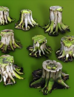 Tree Stumps 2