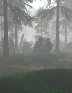 Misty Forest