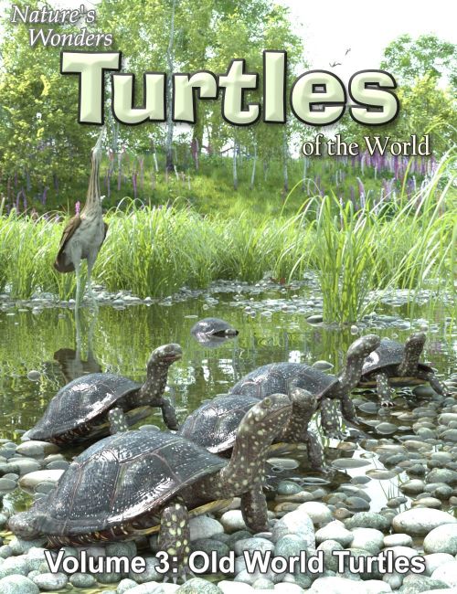 Click here to see preview images for "Nature's Wonders Turtles of the World Vol. 3" Nature's Wonders Turtles of the World Vol. 3