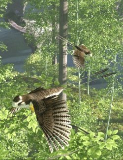 Songbird ReMix Birds of the Mesozoic