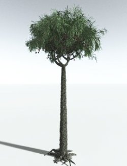 EVERYPlant Lepidodendron Obovatum for Vue