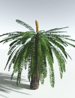 EVERYPlant Pseudoctenis Eathiensis for Vue