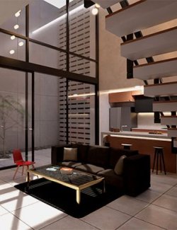 High Ceiling Living