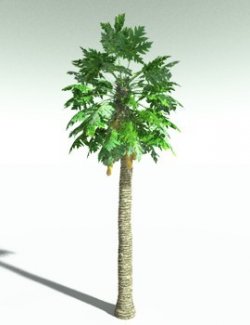 EVERYPlant Papaya for Poser