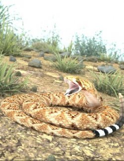 Nature's Wonders Snakes