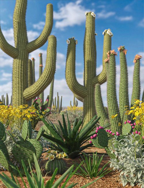 Click here to see preview images for "Predatron Desert Plants Bundle" Predatron Desert Plants Bundle