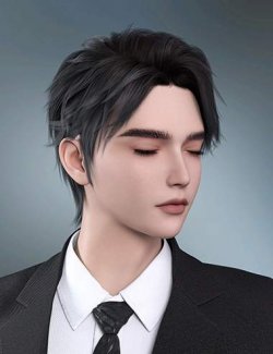 Noki Zephyr Flow Hair for Genesis 9