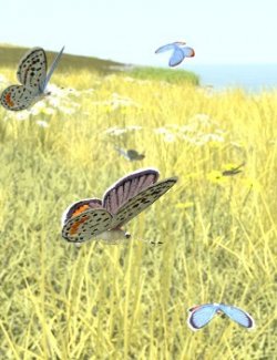 Nature's Wonders Butterflies of the World Volume 4