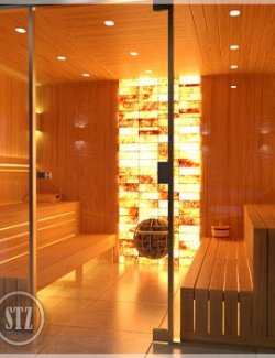STZ Modern sauna