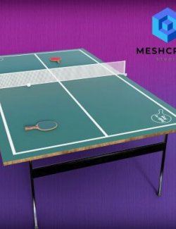 Ping Pong Table Set