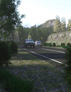 The Road