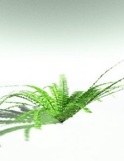 EVERYPlant Western Maidenhair Fern for Poser