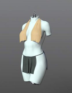 dForce SPR Jane Eyre Style Outfit for Genesis 9