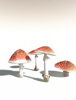 EVERYPlant Fly Agaric for Daz