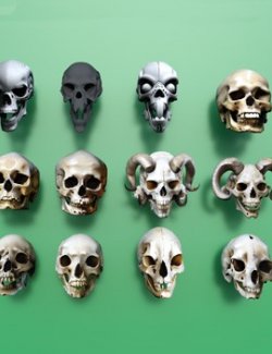 Back to Skull