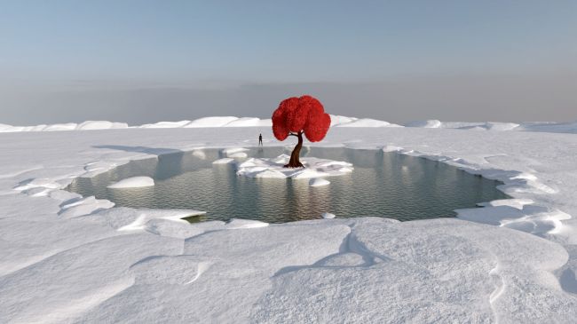 Click here to see preview images for "Tree Lake" Tree Lake
