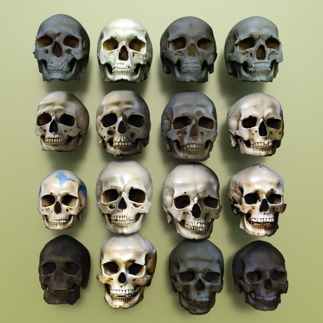 Click here to see preview images for "Human Skulls" Human Skulls