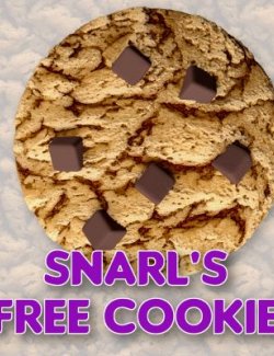 Free Chocolate Chip Cookie