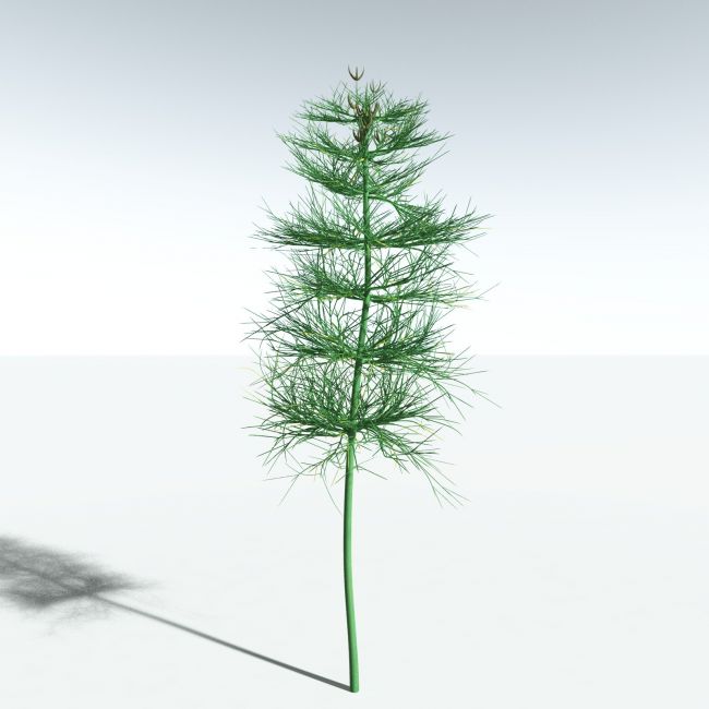 Click here to see preview images for "EVERYPlant Elkinsia Polymorpha for Vue" EVERYPlant Elkinsia Polymorpha for Vue