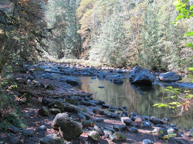 Click here to see preview images for "River Bank" River Bank