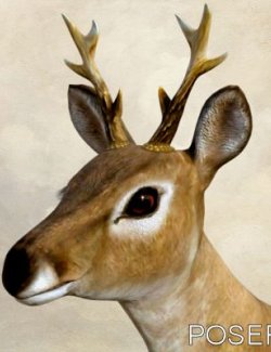 Buck Antlers for AMV_Fawn - Poser