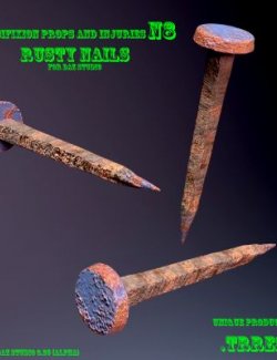 Crucifixion Props and Injuries N8 Rusty Nails
