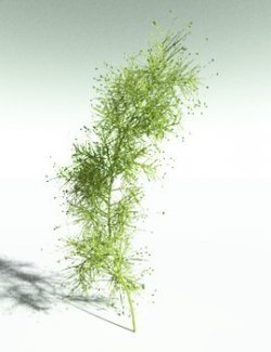 EVERYPlant Pertica Quadrifaria for Poser