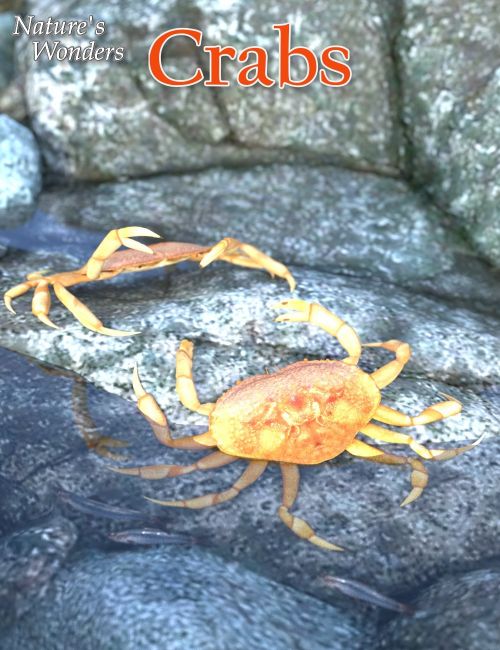 Click here to see preview images for "Nature's Wonders Crabs" Nature's Wonders Crabs
