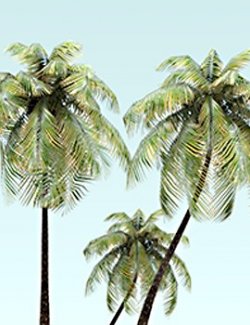 Coastal Foliage Pack
