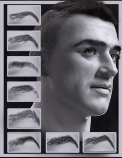 Bold Brows 9 Merchant Resource For Genesis 9