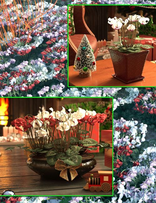 Click here to see preview images for "Christmas Cyclamen - LR Plants for DS" Christmas Cyclamen - LR Plants for DS