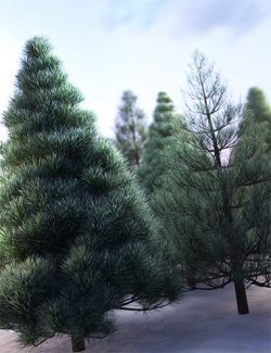 Pick and Mix Christmas Trees