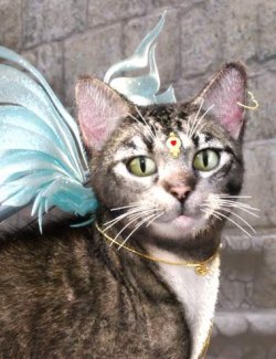 T3d Meow Cupid for Daz3d House Cat