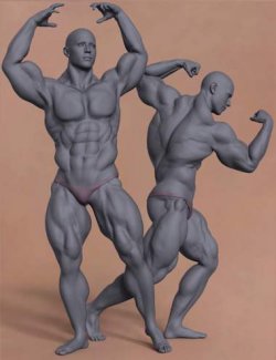 Musculature HD Masculine Morphs for Genesis 9