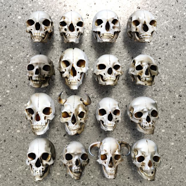Click here to see preview images for "Odd Creatures Skulls" Odd Creatures Skulls