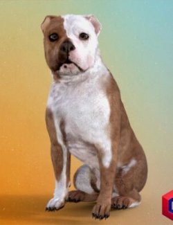 Bullmastiff for DAZ Dog 8