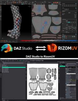 DS 2 RizomUV