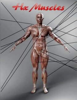 HX Muscles Merchant Resource Morphs for Genesis 9
