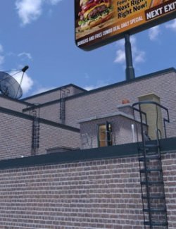 1stB RoofTop Ladders