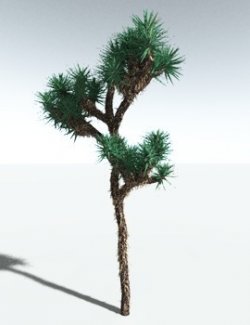 EVERYPlant Joshua Tree for Vue