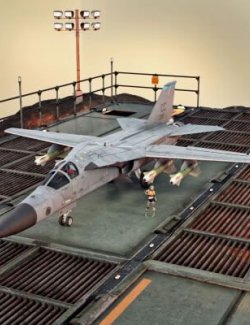 F111-F Aardvark Bomber Plane With for DAZ3D