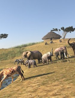 African Savannah for Daz Studio