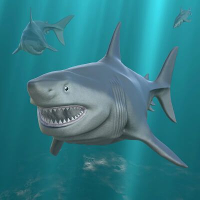 Click here to see preview images for "Midnight Megalodon" Midnight Megalodon