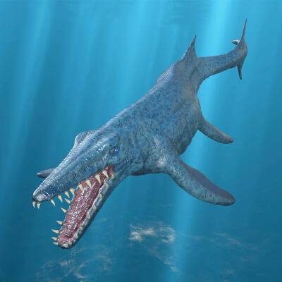 Click here to see preview images for "Midnight Mosasaurus" Midnight Mosasaurus