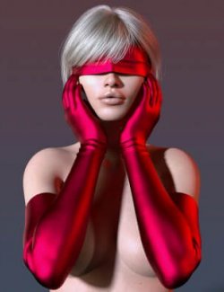 Long Gloves and Blindfold G8F